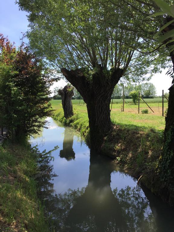 Corte Mondina Gazoldo degli Ippoliti Exterior foto